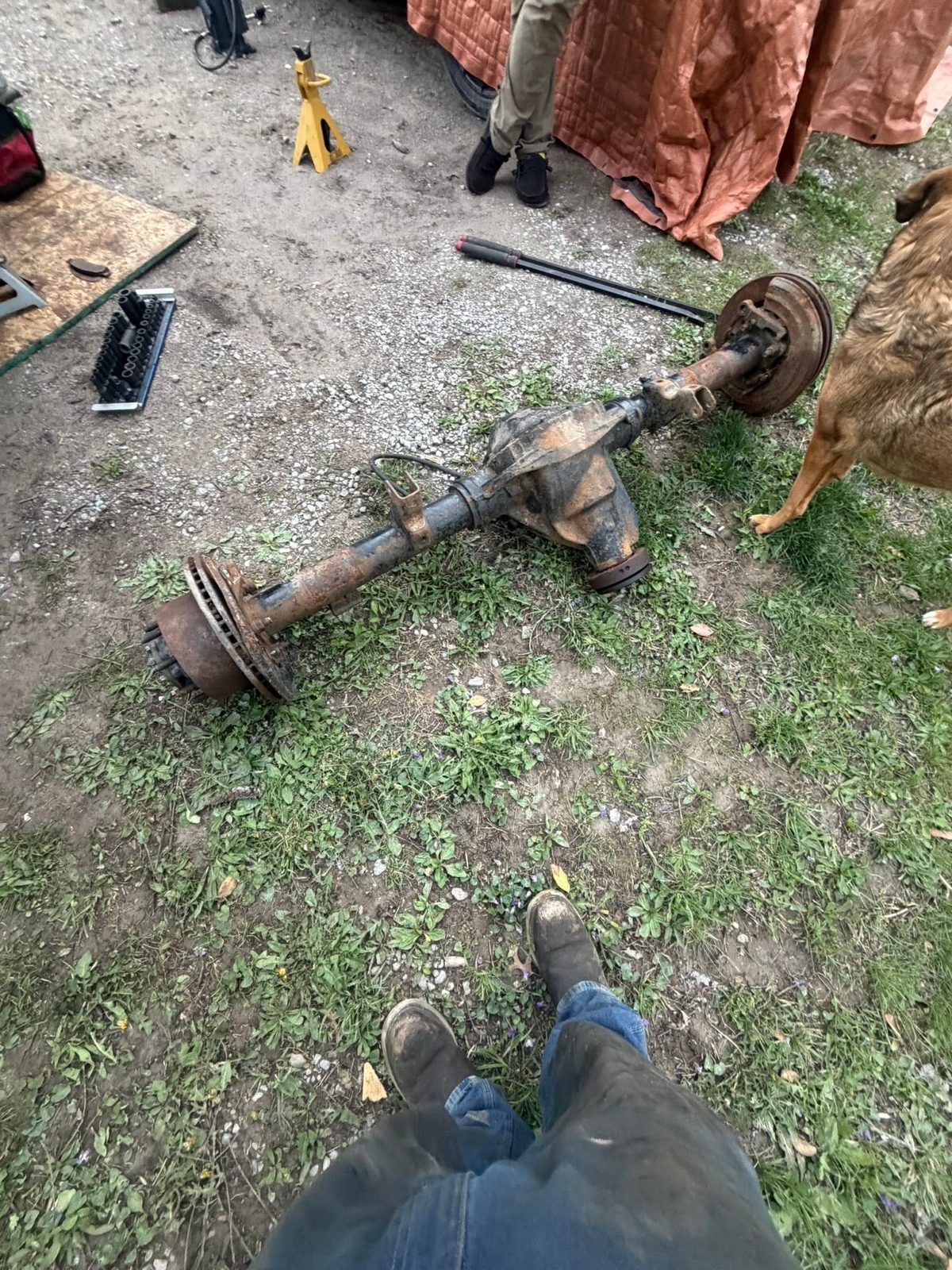 Axle housing pulled and laid out in the grass
